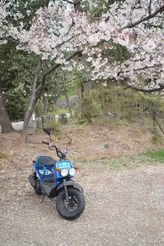 岩殿山安楽寺（吉見観音）(埼玉県)