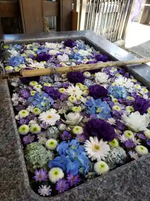 高円寺氷川神社の手水舎