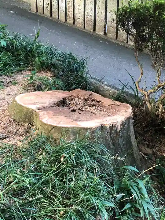 白山神社(愛媛県)