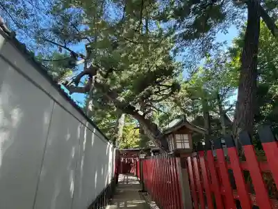 蛇松神社(新潟県)