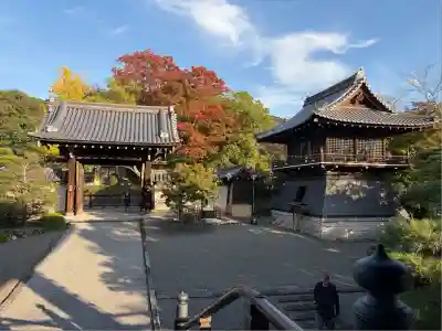 大雲院(京都府)