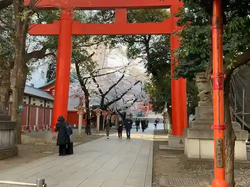 花園神社の鳥居