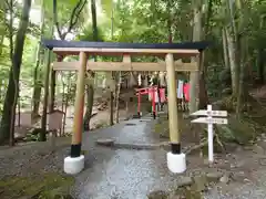 出雲大神宮の鳥居