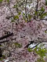 江ヶ崎八幡神社(神奈川県)