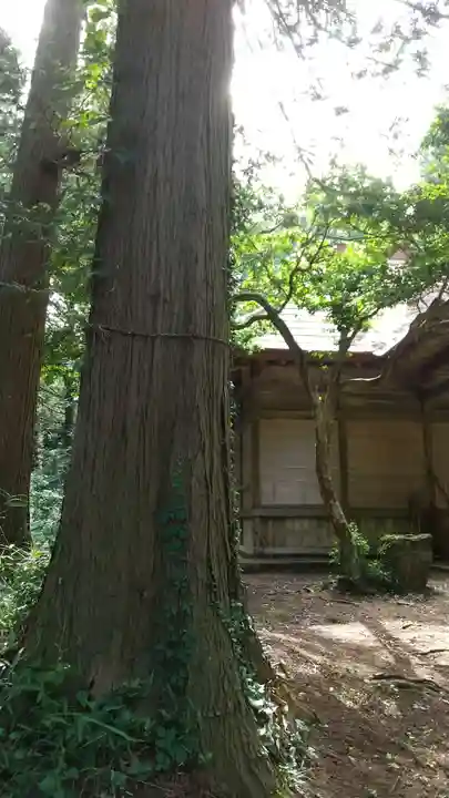 鹿島神社のその他建物
