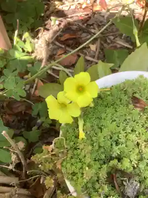 三輪神社の芸術