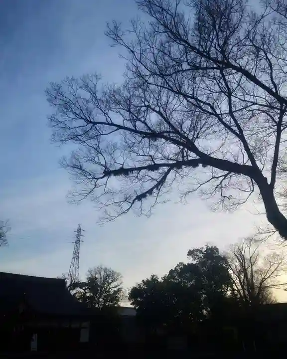 尾張大國霊神社(国府宮)(愛知県)
