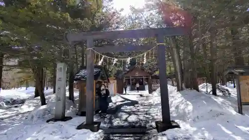 北海道神宮の鳥居