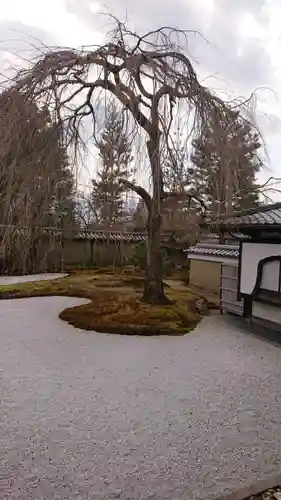 高台寺（高台寿聖禅寺・高臺寺）(京都府)