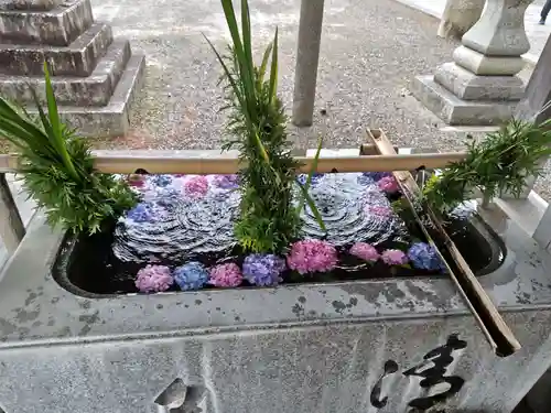 長浜八幡宮(滋賀県)