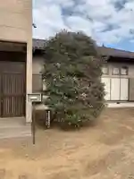 神田神社(千葉県)