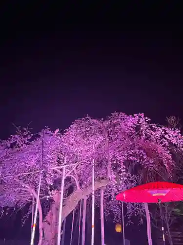 水無瀬神宮(大阪府)