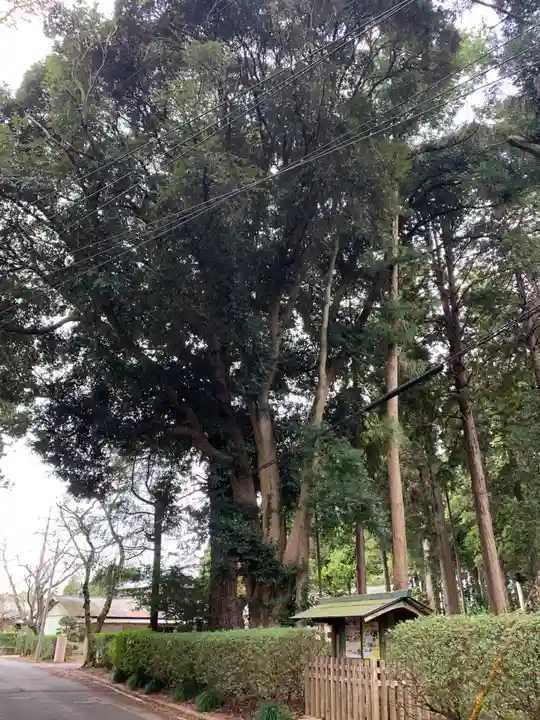 側高神社(千葉県)