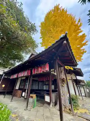 慧光寺(京都府)