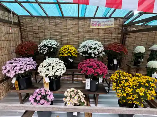 諏訪大社(長野県)