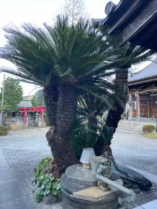浄蓮寺(神奈川県)