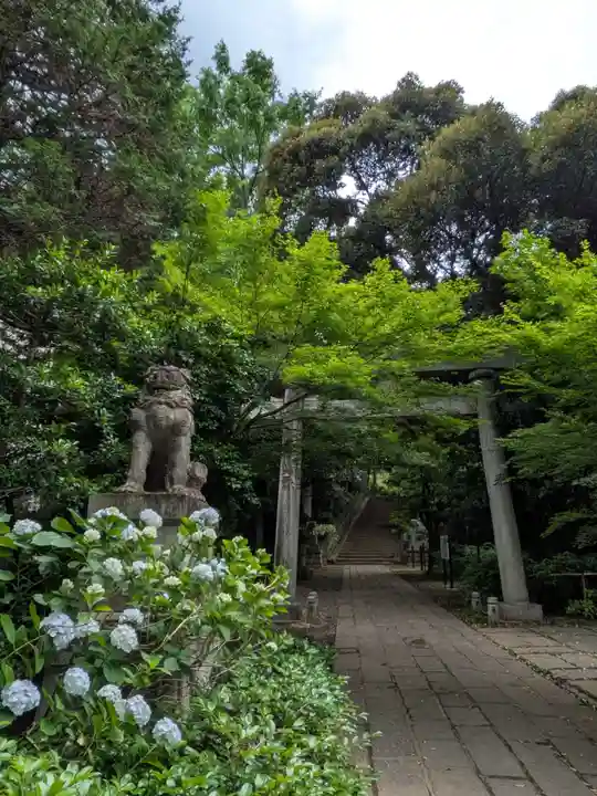 赤坂氷川神社(東京都)