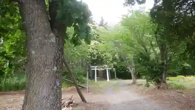 忠栄金刀比羅神社のその他建物