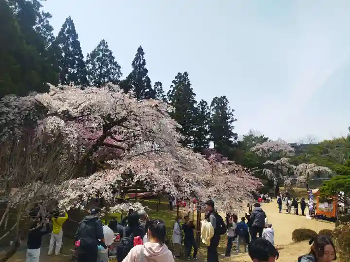 三宝院(三宝院門跡)(京都府)