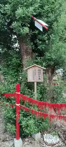 三輪神社(愛知県)