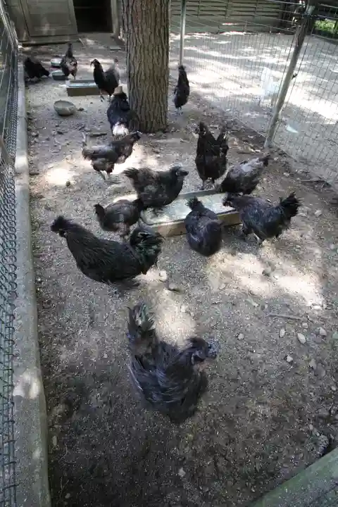 身曾岐神社(山梨県)