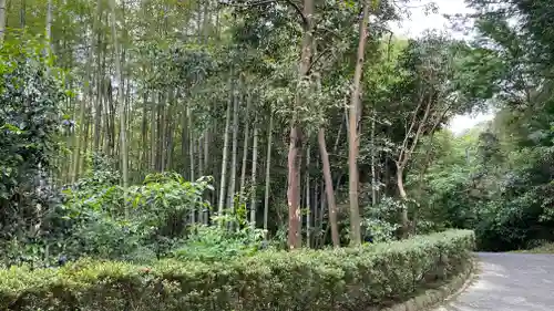 牟禮山観音禅寺(滋賀県)