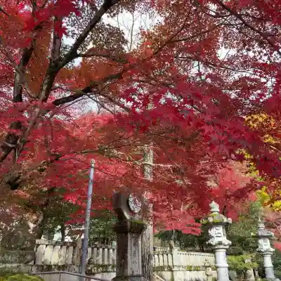 意冨布良神社(滋賀県)