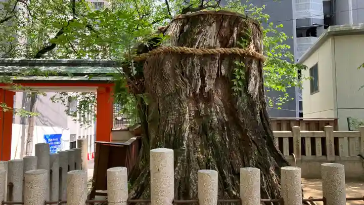 生田神社(兵庫県)
