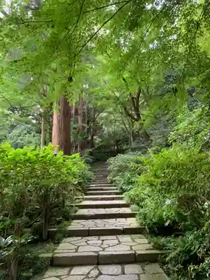 瑞泉寺(神奈川県)