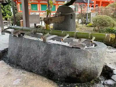 賀茂別雷神社（上賀茂神社）(京都府)