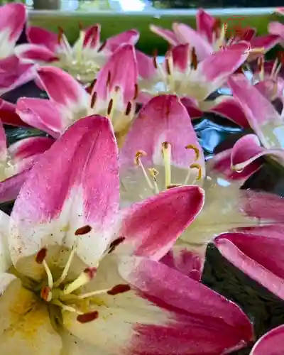 立志神社(滋賀県)