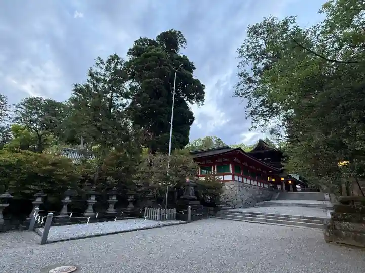 石上神宮の{uncategorized: "未分類", other: "その他", undefined: "問題あり", building: "その他建物", grave: "お墓", sacred_gate: "鳥居", guardian: "狛犬", statue: "像", buddha: "仏像", history: "歴史", nature: "自然", garden: "庭園", animal: "動物", pagoda: "塔", temizu: "手水舎", mountain_gate: "山門・神門", sanctuary: "本殿・本堂", subordinate: "末社・摂社", art: "芸術", scenery: "景色", jizo: "地蔵", ema: "絵馬", goshuin: "御朱印", omikuji: "おみくじ", items: "授与品その他", amulet: "お守り", goshuincho: "御朱印帳", eats: "食事", festival: "お祭り", votive_dance: "神楽", shichigosan: "七五三参", wedding: "結婚式", experience: "体験その他", initially: "初詣", around: "周辺", anti_infection: "感染症対策"}