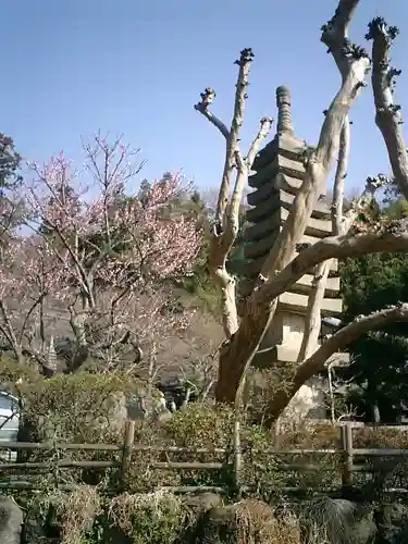 覚園寺の庭園