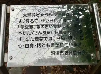 大瀬神社(静岡県)