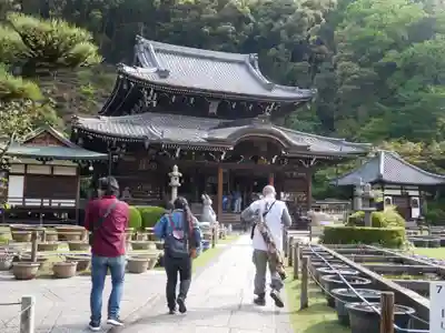 三室戸寺の本殿・本堂