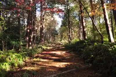 如法寺(愛媛県)