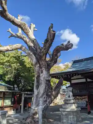 金岡神社(大阪府)