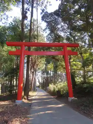 戸隠神社の鳥居