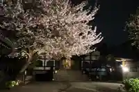 感通寺のその他建物