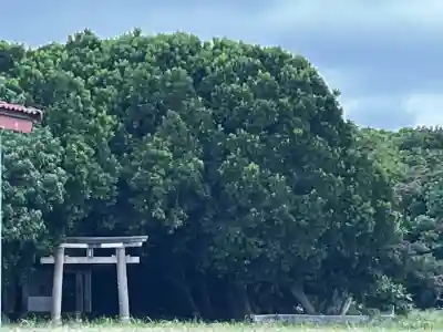 波照間御嶽の{uncategorized: "未分類", other: "その他", undefined: "問題あり", building: "その他建物", grave: "お墓", sacred_gate: "鳥居", guardian: "狛犬", statue: "像", buddha: "仏像", history: "歴史", nature: "自然", garden: "庭園", animal: "動物", pagoda: "塔", temizu: "手水舎", mountain_gate: "山門・神門", sanctuary: "本殿・本堂", subordinate: "末社・摂社", art: "芸術", scenery: "景色", jizo: "地蔵", ema: "絵馬", goshuin: "御朱印", omikuji: "おみくじ", items: "授与品その他", amulet: "お守り", goshuincho: "御朱印帳", eats: "食事", festival: "お祭り", votive_dance: "神楽", shichigosan: "七五三参", wedding: "結婚式", experience: "体験その他", initially: "初詣", around: "周辺", anti_infection: "感染症対策"}