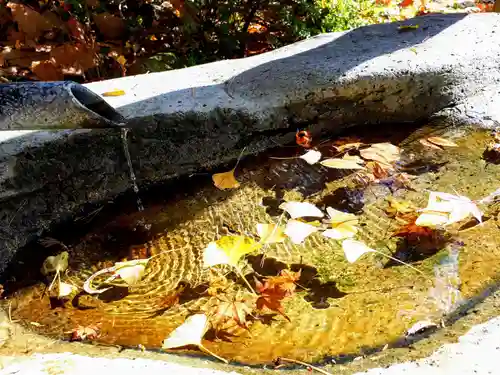 愛宕神社の手水