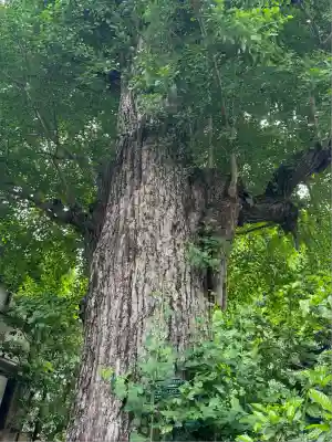 幸國寺(東京都)