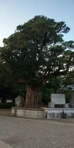 鶴谷八幡宮の自然