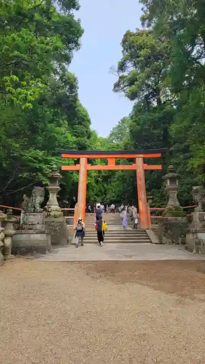 春日大社の{uncategorized: "未分類", other: "その他", undefined: "問題あり", building: "その他建物", grave: "お墓", sacred_gate: "鳥居", guardian: "狛犬", statue: "像", buddha: "仏像", history: "歴史", nature: "自然", garden: "庭園", animal: "動物", pagoda: "塔", temizu: "手水舎", mountain_gate: "山門・神門", sanctuary: "本殿・本堂", subordinate: "末社・摂社", art: "芸術", scenery: "景色", jizo: "地蔵", ema: "絵馬", goshuin: "御朱印", omikuji: "おみくじ", items: "授与品その他", amulet: "お守り", goshuincho: "御朱印帳", eats: "食事", festival: "お祭り", votive_dance: "神楽", shichigosan: "七五三参", wedding: "結婚式", experience: "体験その他", initially: "初詣", around: "周辺", anti_infection: "感染症対策"}