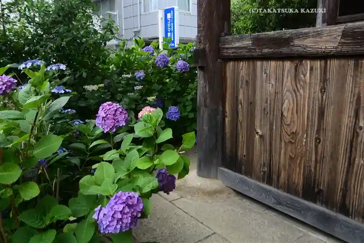 弘明寺(神奈川県)