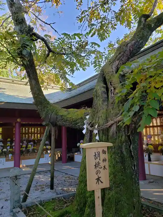 笠間稲荷神社の自然