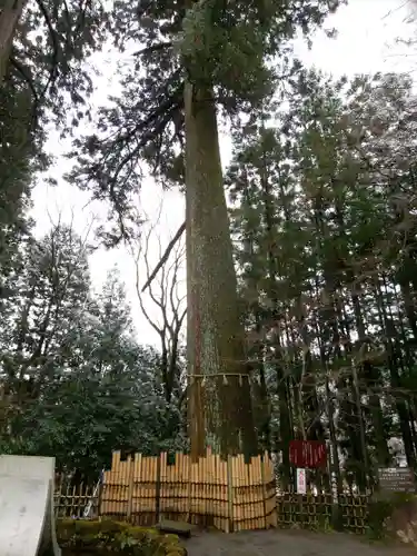 水澤寺(水澤観世音)(群馬県)