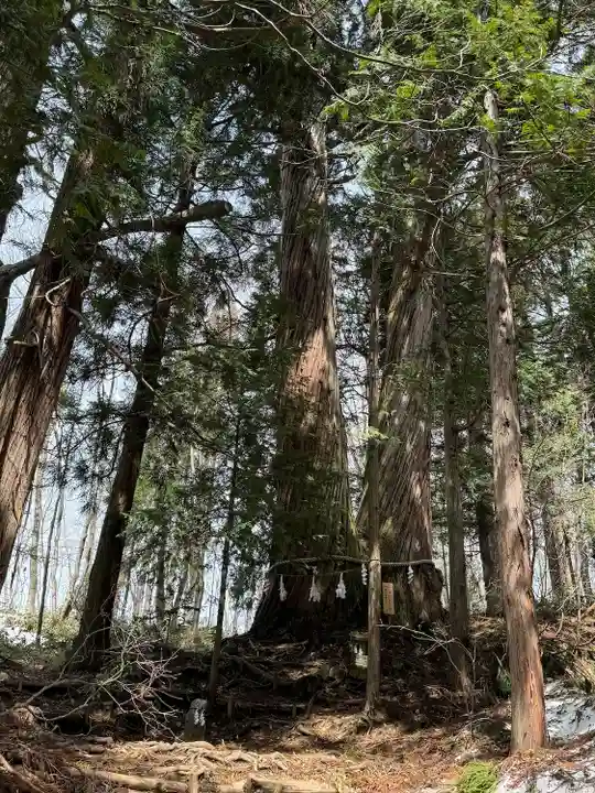 戸隠神社火之御子社(長野県)