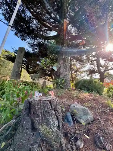 京都乃木神社(京都府)