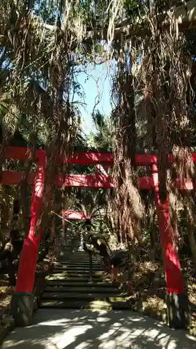 御崎神社の鳥居